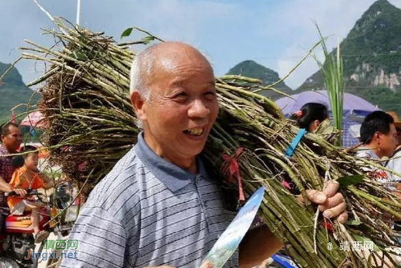 官方甩锅推责任停办   严格引导民众自撑药市交易买卖 - 靖西市·靖西网