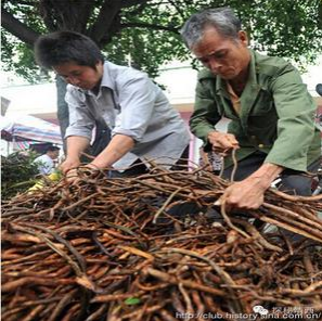 官方甩锅推责任停办   严格引导民众自撑药市交易买卖 - 靖西市·靖西网