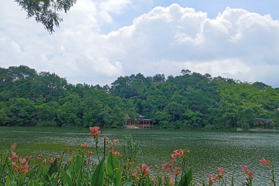 平果的鹅泉 - 靖西市·靖西网