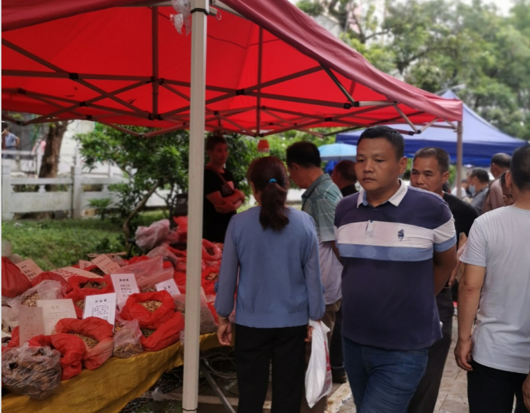 端午药市逛拍 - 靖西市·靖西网