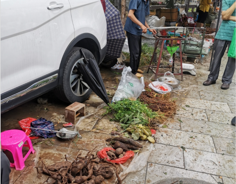 端午药市逛拍 - 靖西市·靖西网