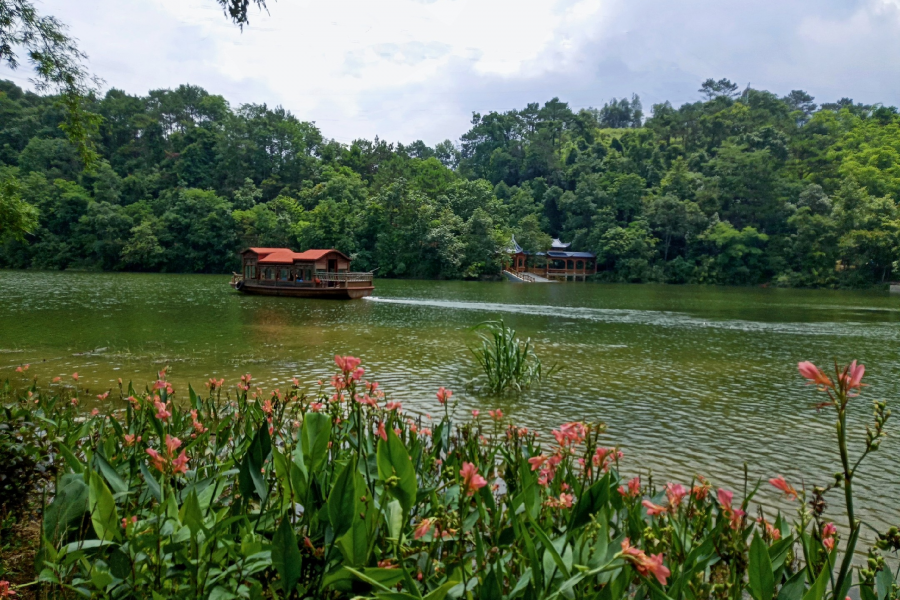 新鲜出炉，靖西市龙潭湿地公园冬景。 - 靖西市·靖西网