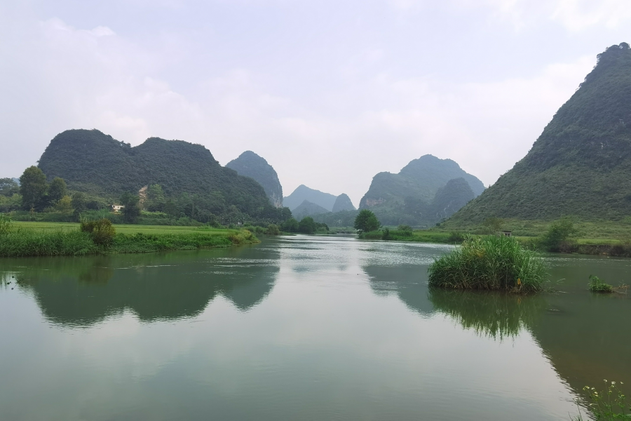 剩下的三只鸭 - 靖西市·靖西网