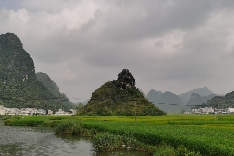 剩下的三只鸭 - 靖西市·靖西网