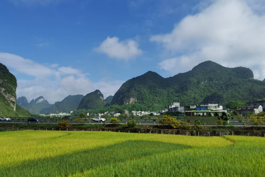 远离喧嚣，空气极好，国庆来靖西最好玩的地方---田野 - 靖西市·靖西网