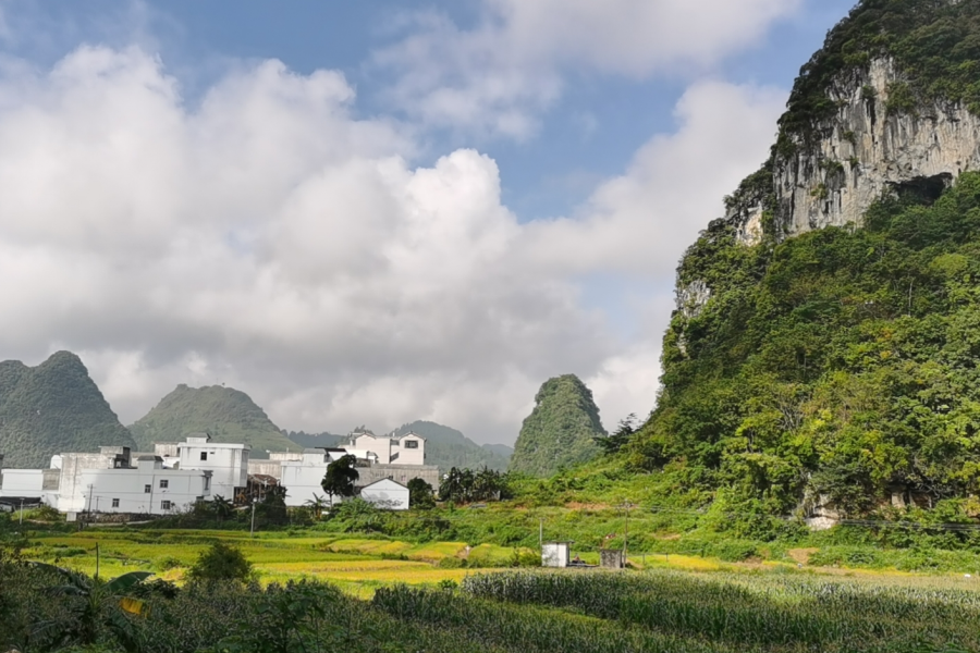 远离喧嚣，空气极好，国庆来靖西最好玩的地方---田野 - 靖西市·靖西网