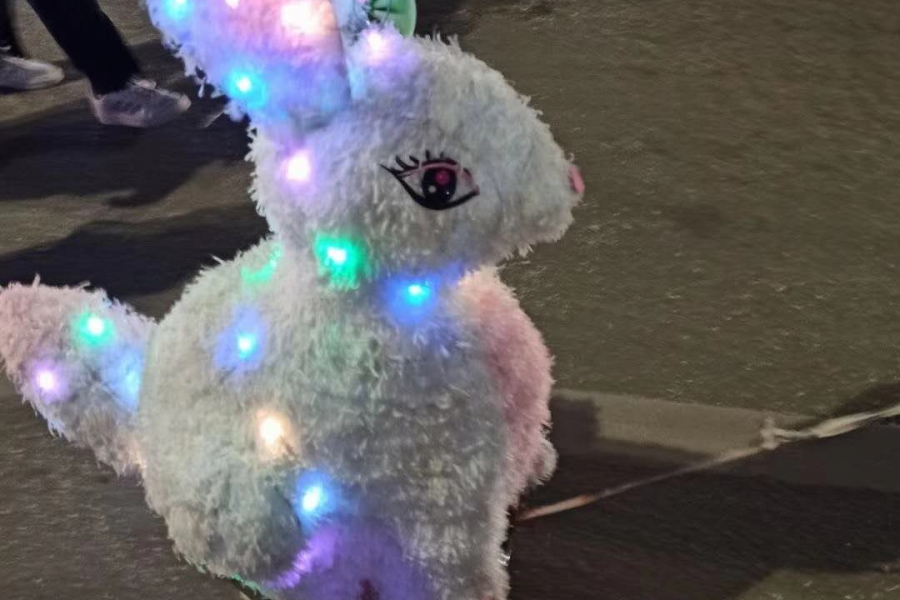 靖西2020年中秋活动...... - 靖西市·靖西网