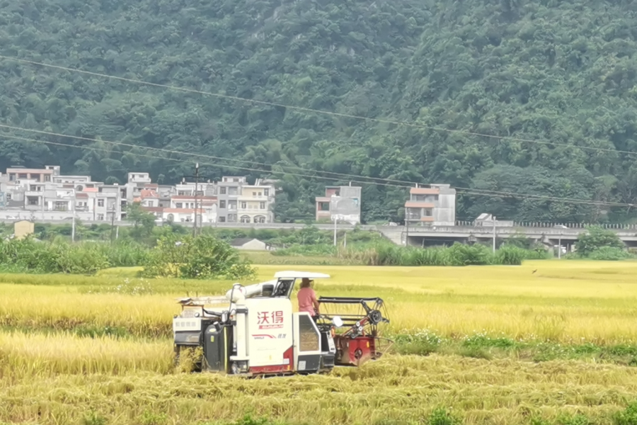 靖西驿路，周末约起 - 靖西市·靖西网