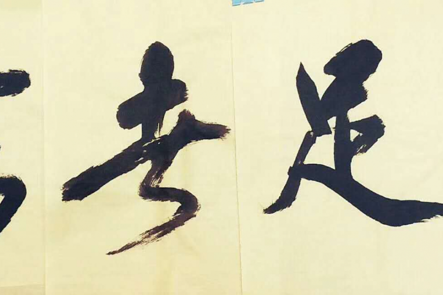 书展选登 - 靖西市·靖西网