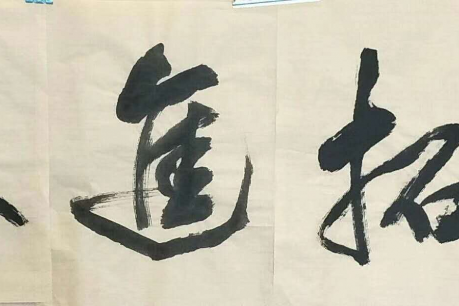 书展选登 - 靖西市·靖西网