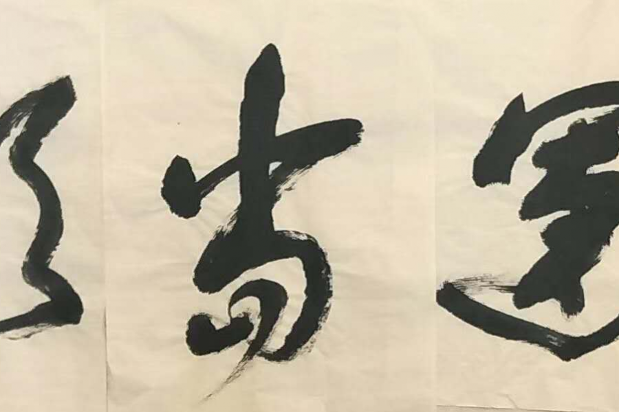 书展选登 - 靖西市·靖西网