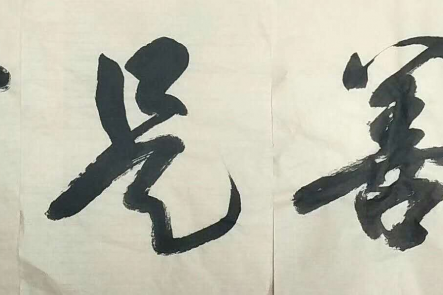 书展选登 - 靖西市·靖西网