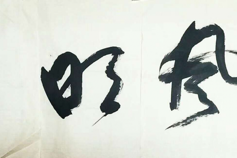 书展选登 - 靖西市·靖西网