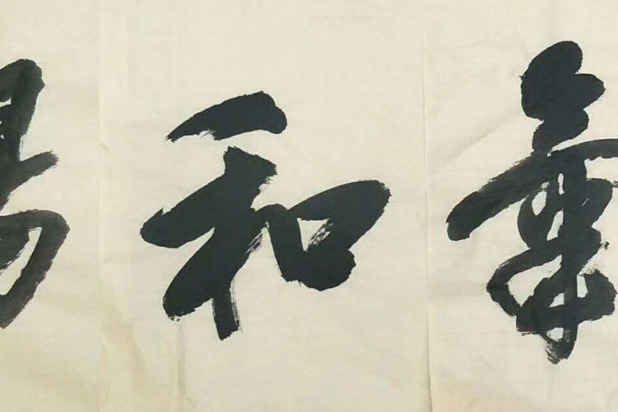 书展选登 - 靖西市·靖西网