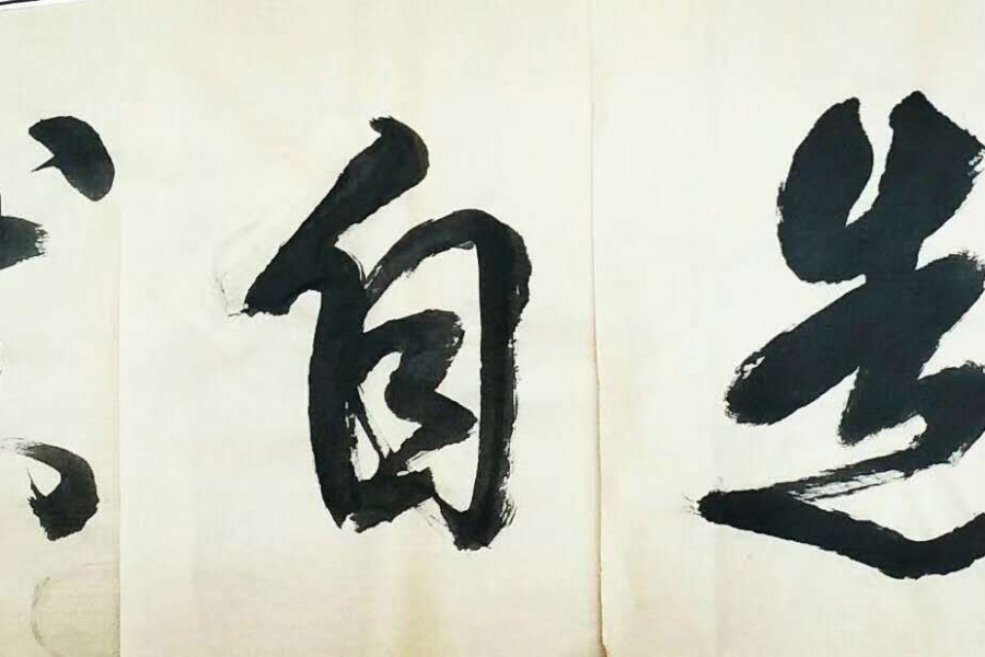 书展选登 - 靖西市·靖西网