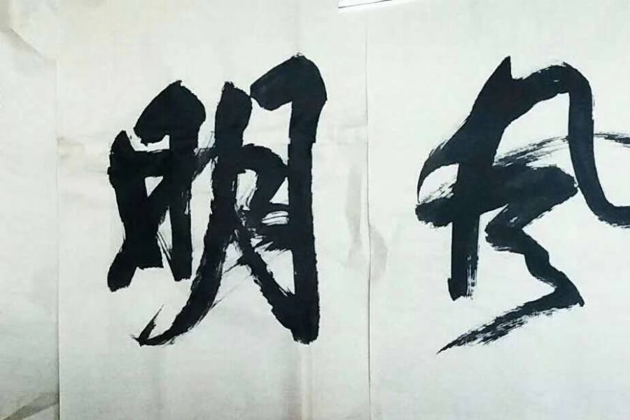 书展选登 - 靖西市·靖西网