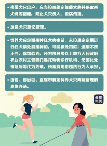 注意！5月1日起，遛狗不拴绳违法 - 靖西市·靖西网