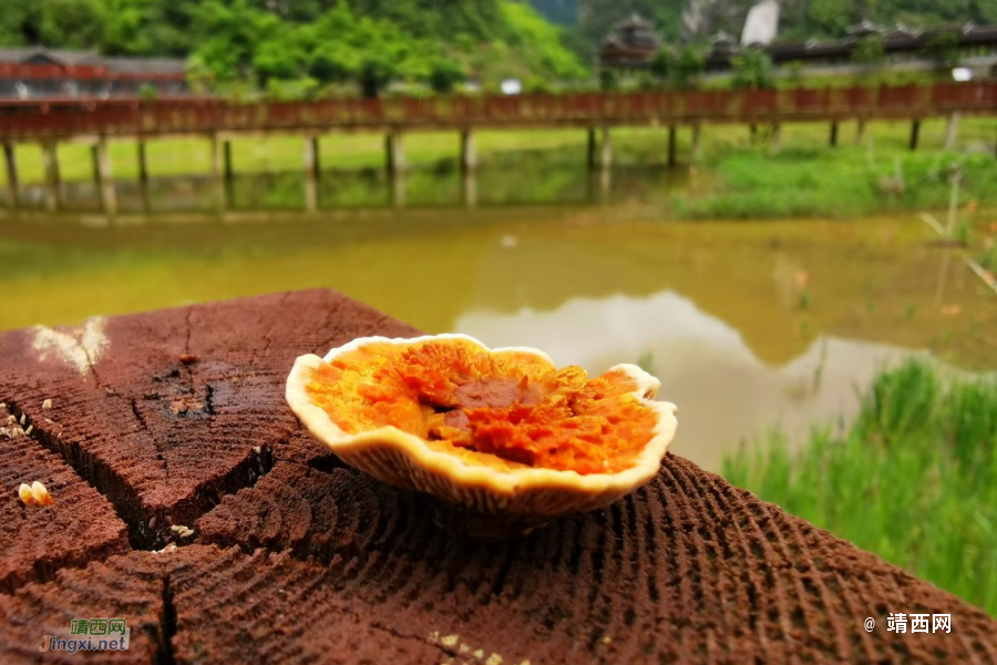 各位家长，教育局紧急通知 - 靖西市·靖西网