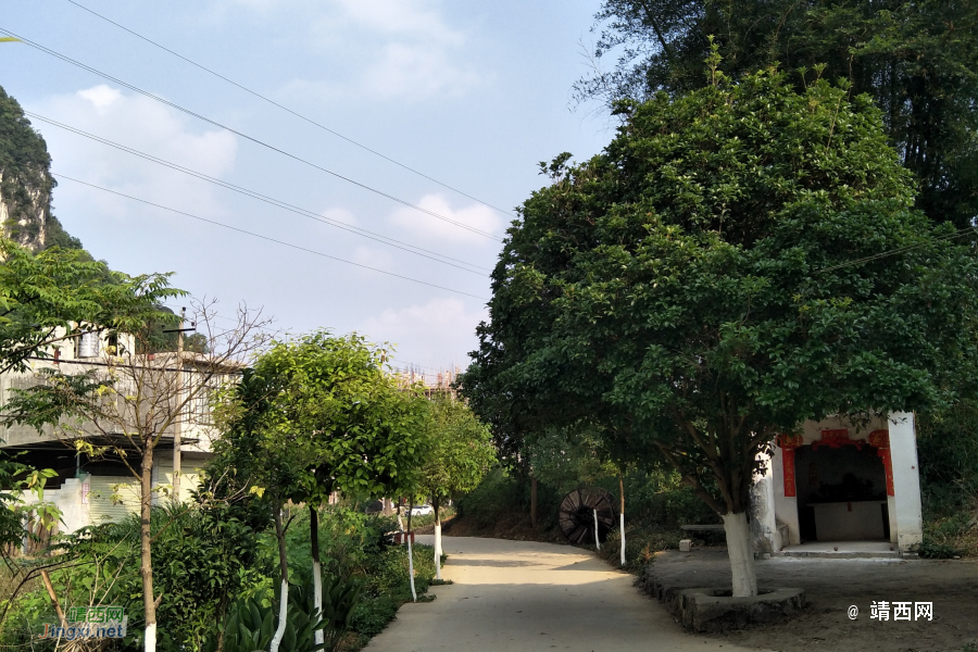 新路，火车站 - 靖西市·靖西网