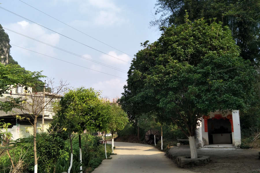 新路，火车站 - 靖西市·靖西网