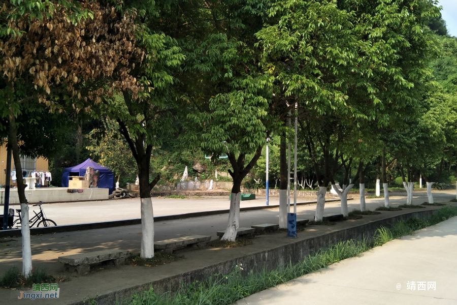 新路，火车站 - 靖西市·靖西网
