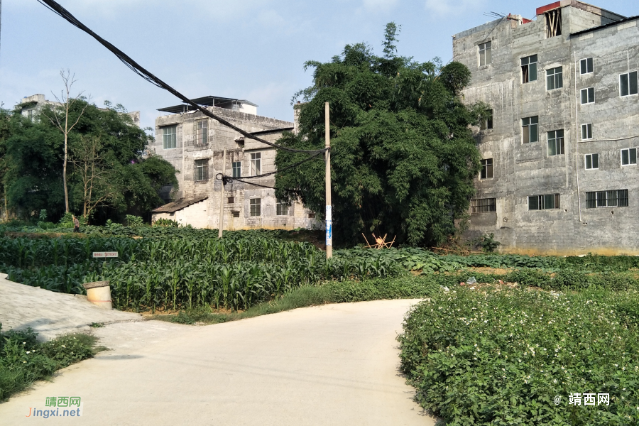 新路，火车站 - 靖西市·靖西网