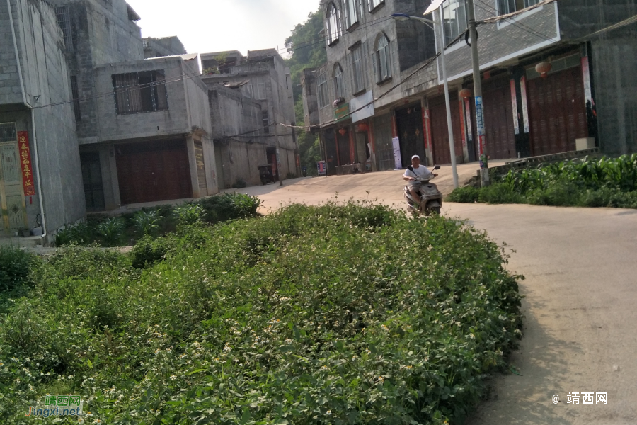 新路，火车站 - 靖西市·靖西网