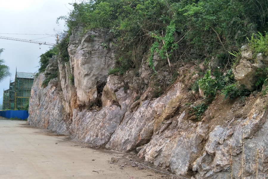 挖开青蛇山，竟然发现………… - 靖西市·靖西网