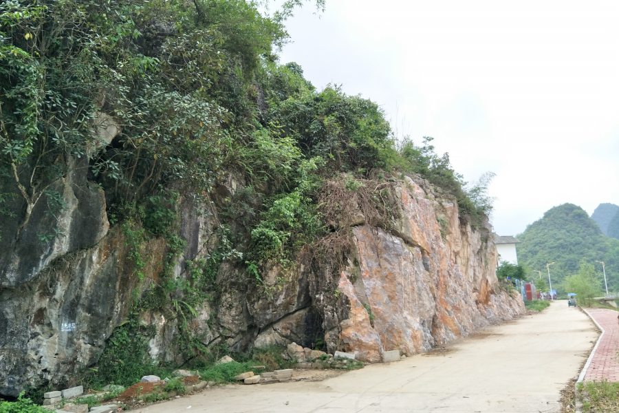 挖开青蛇山，竟然发现………… - 靖西市·靖西网