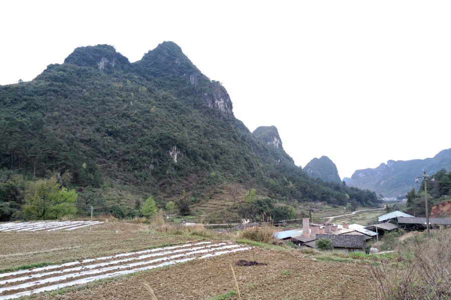 靖西八景，你去过几个地方了? - 靖西市·靖西网