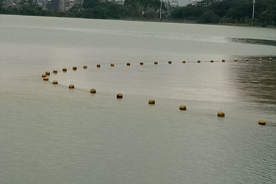 今日的龙潭源头与小龙 - 靖西市·靖西网