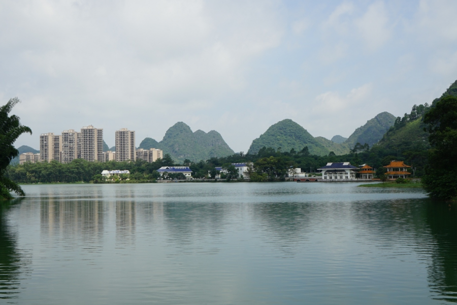 靖西龙潭湿地公园夏天的景色 - 靖西市·靖西网