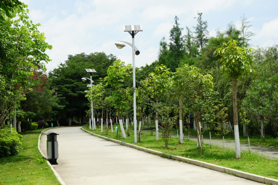 靖西龙潭湿地公园夏天的景色 - 靖西市·靖西网