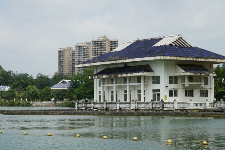 靖西龙潭湿地公园夏天的景色 - 靖西市·靖西网