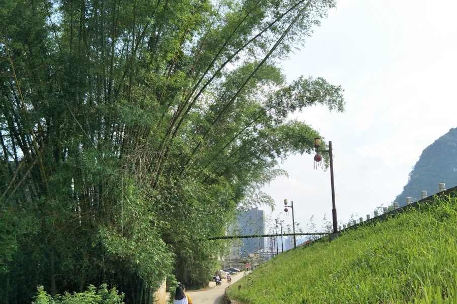 龙潭惊现纯天然限高 - 靖西市·靖西网