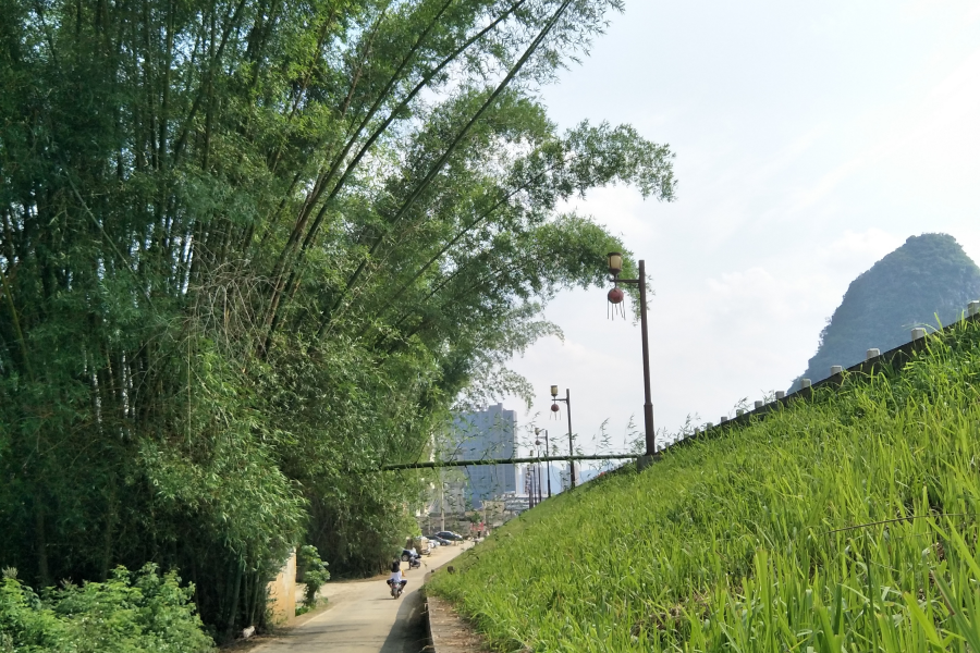 龙潭惊现纯天然限高 - 靖西市·靖西网