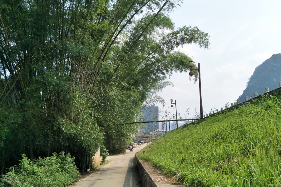 龙潭惊现纯天然限高 - 靖西市·靖西网