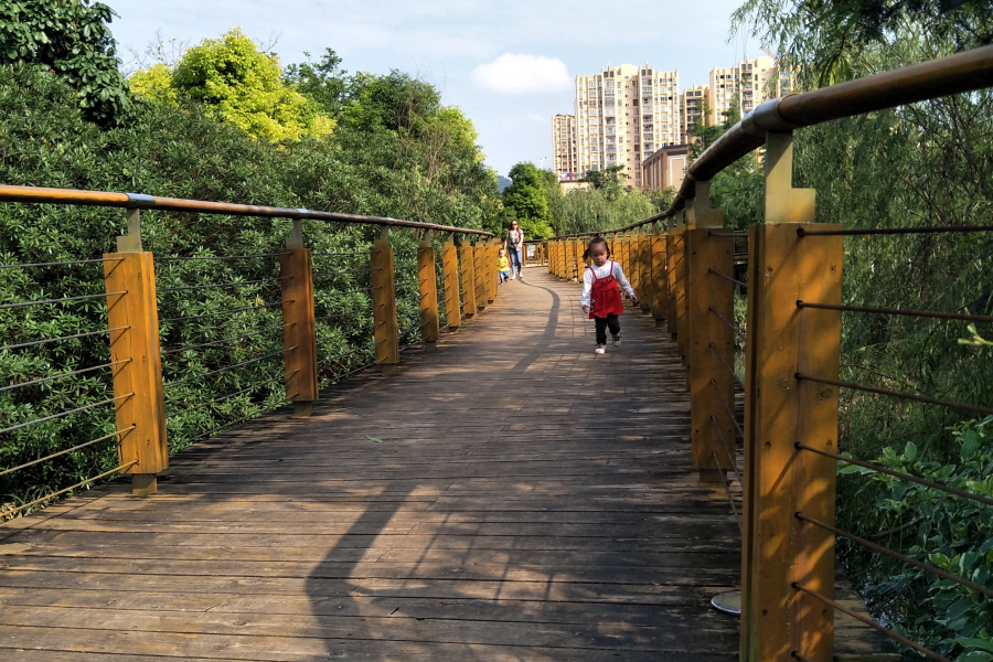 龙潭惊现纯天然限高 - 靖西市·靖西网