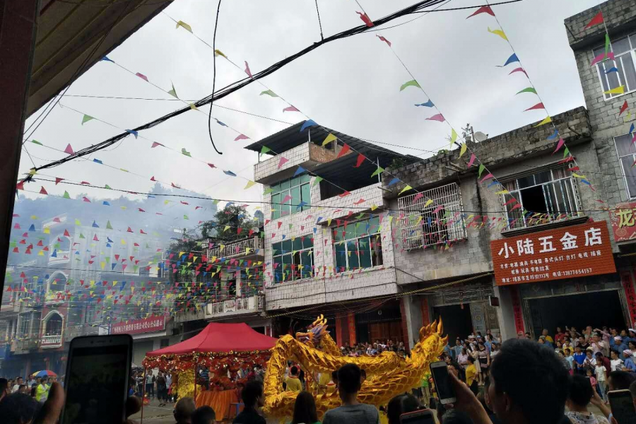 航单龙邦 - 靖西市·靖西网