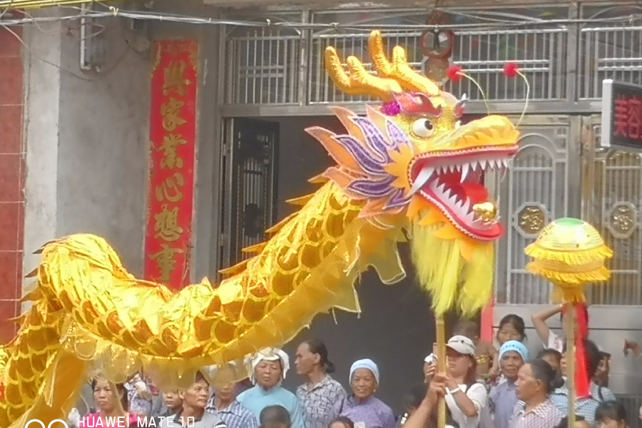 航单龙邦 - 靖西市·靖西网