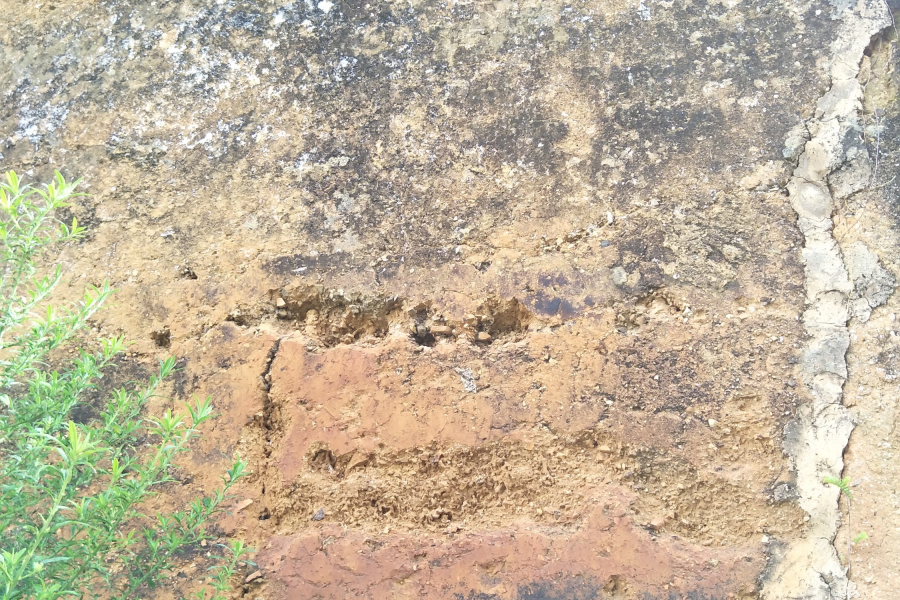 百年古庙：弥陀寺，能否号称靖西第一老庙？ - 靖西市·靖西网