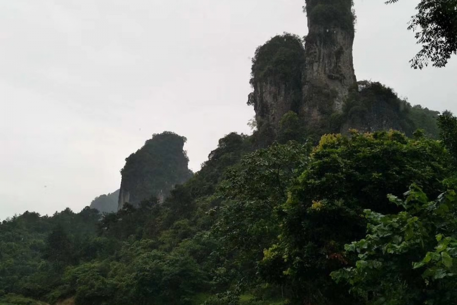 寻找靖西最美的峰 - 靖西市·靖西网