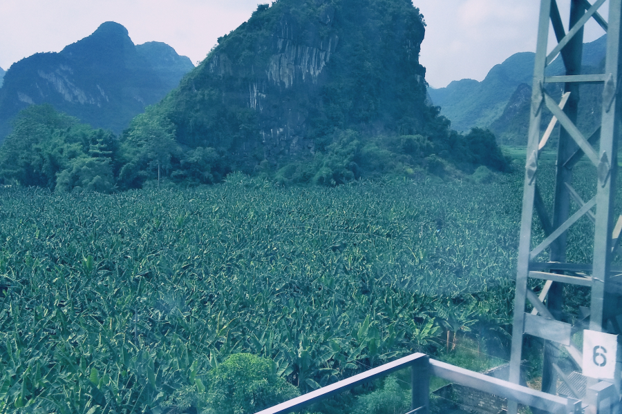 寻找靖西最美的峰 - 靖西市·靖西网