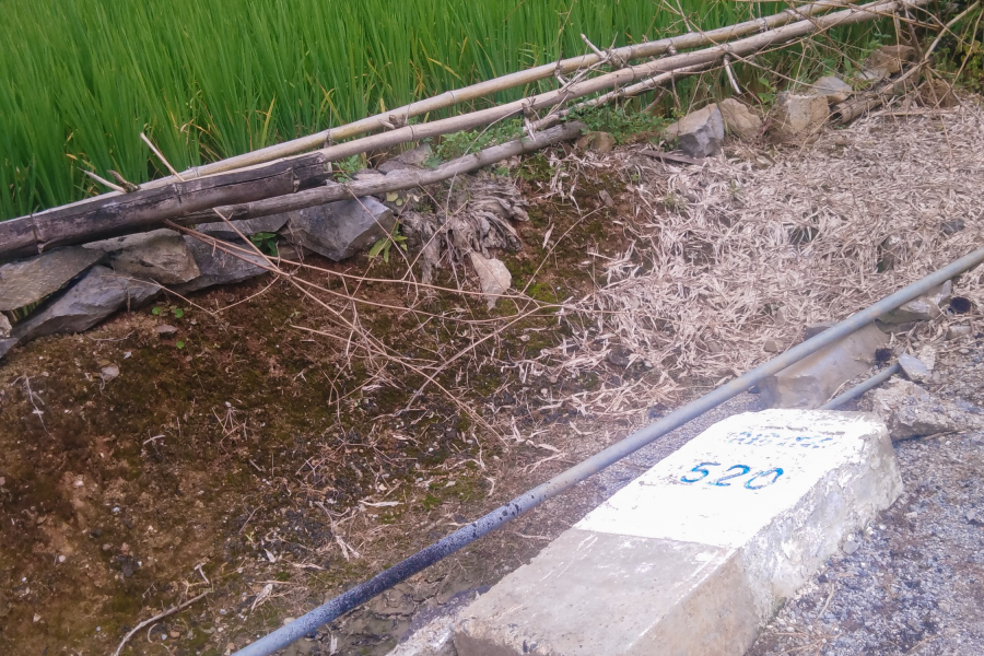 今天拍的靖西第一网红路碑。 - 靖西市·靖西网