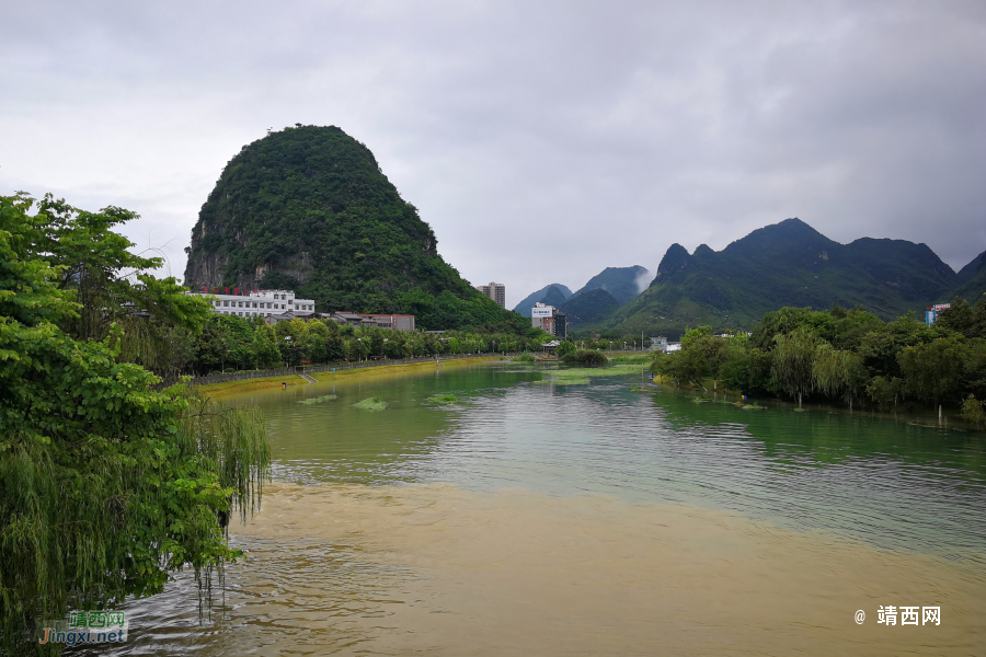 我的鹅啊，水淹进不去了 - 靖西市·靖西网