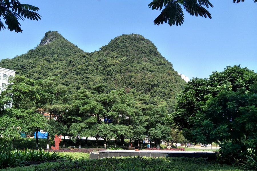 秋风落叶，绣球广场，遗址 - 靖西市·靖西网