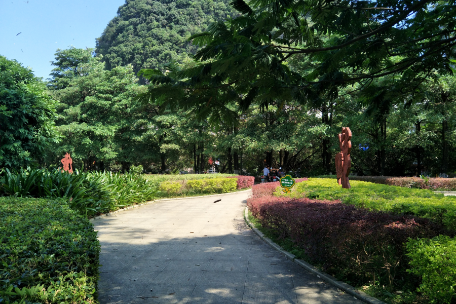 秋风落叶，绣球广场，遗址 - 靖西市·靖西网