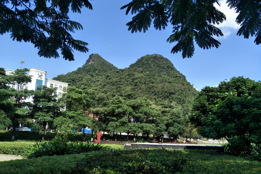 秋风落叶，绣球广场，遗址 - 靖西市·靖西网