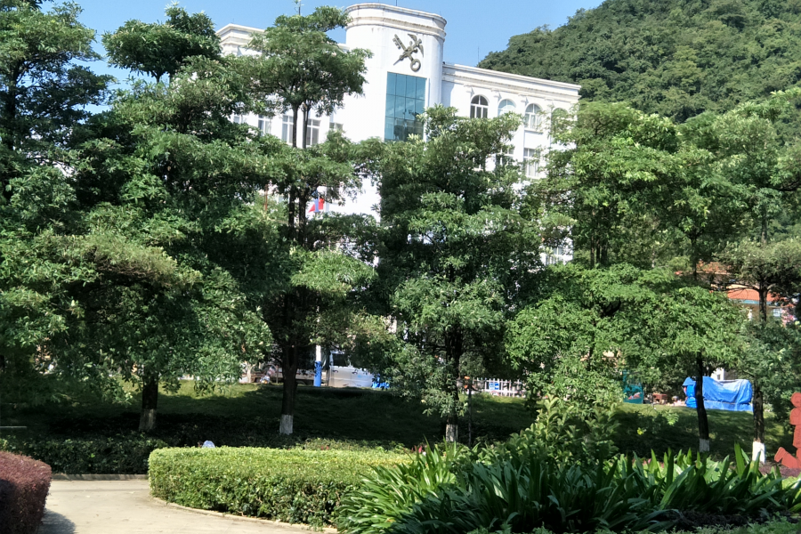 秋风落叶，绣球广场，遗址 - 靖西市·靖西网