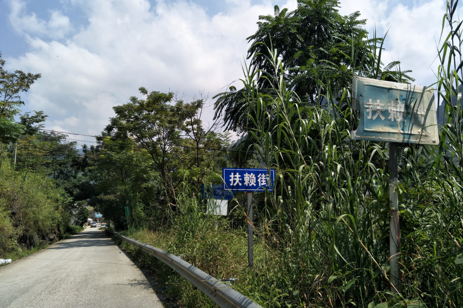 谷拉，我劲骚骚地来了 - 靖西市·靖西网